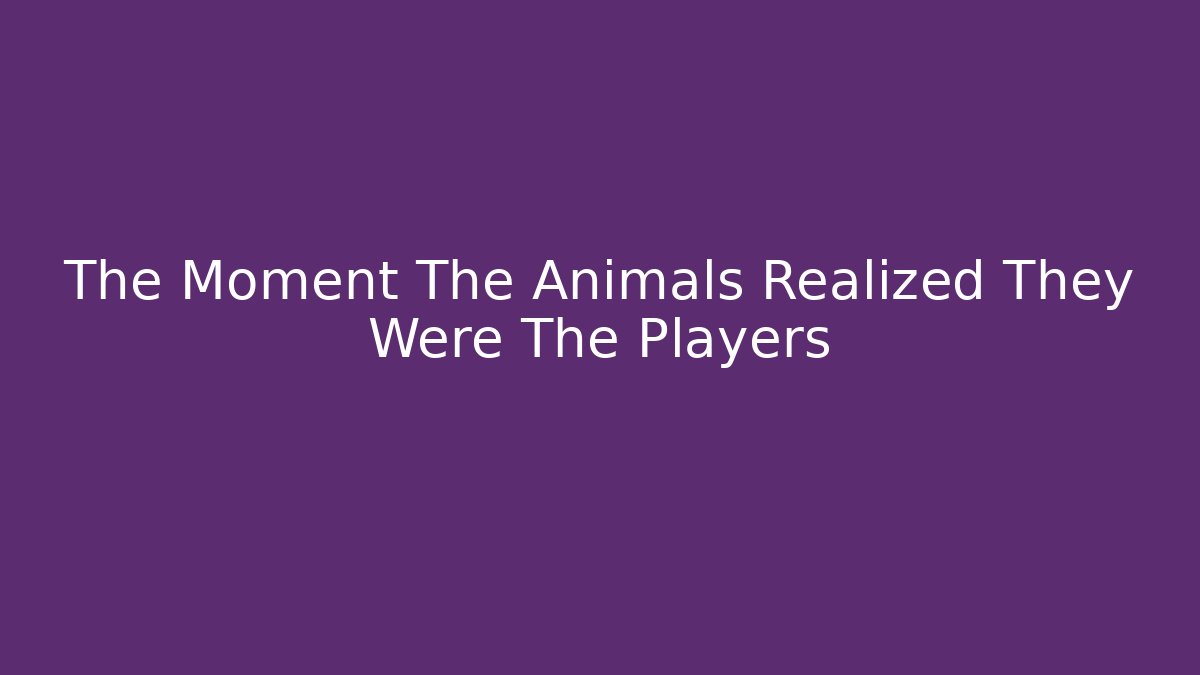 The Moment The Animals Realized They Were The Players - The Family Holidays