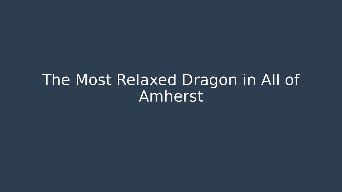 The Most Relaxed Dragon in All of Amherst