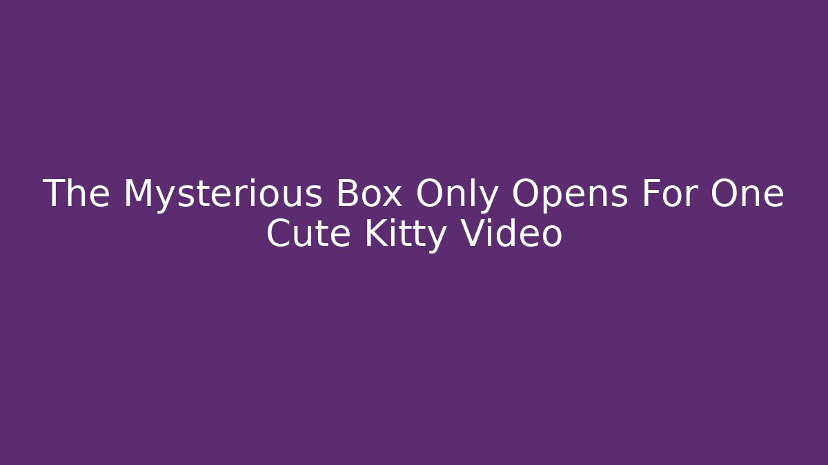 The Mysterious Box Only Opens For One Cute Kitty Video