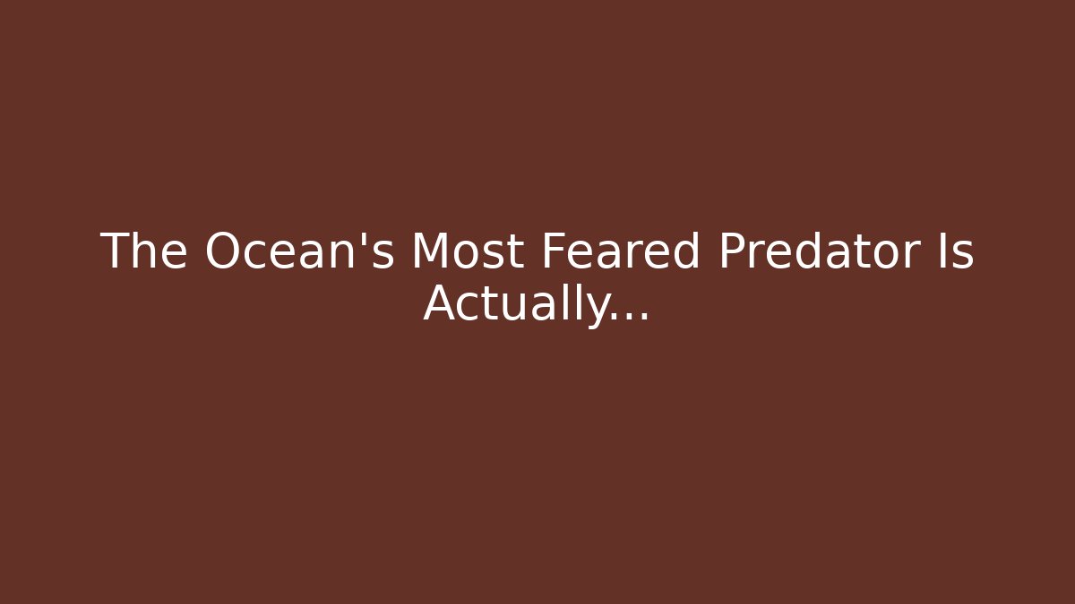 The Ocean's Most Feared Predator Is Actually...
