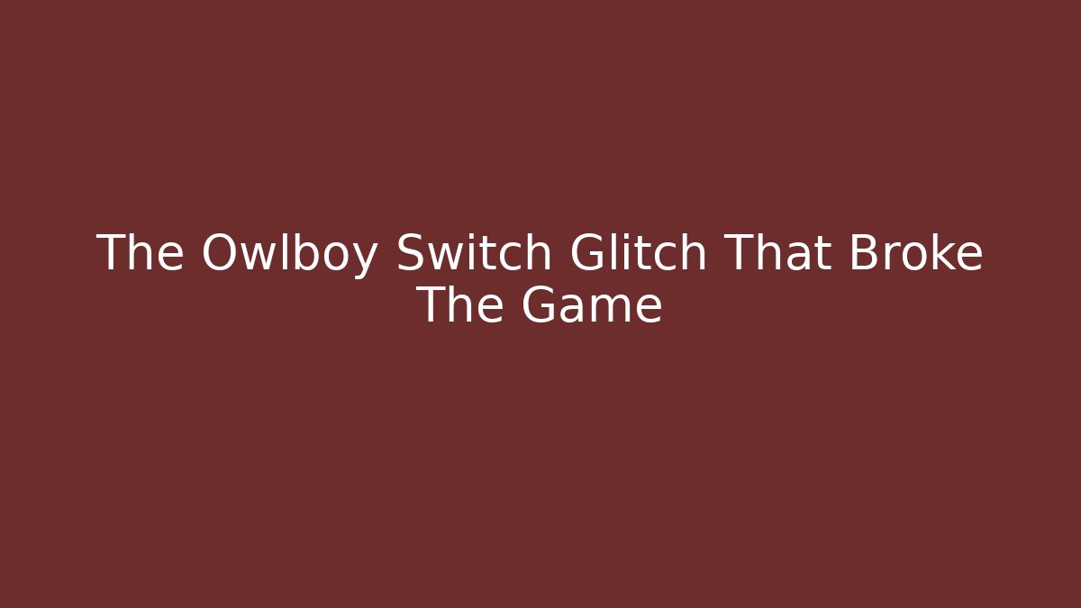 The Owlboy Switch Glitch That Broke The Game - The Family Holidays