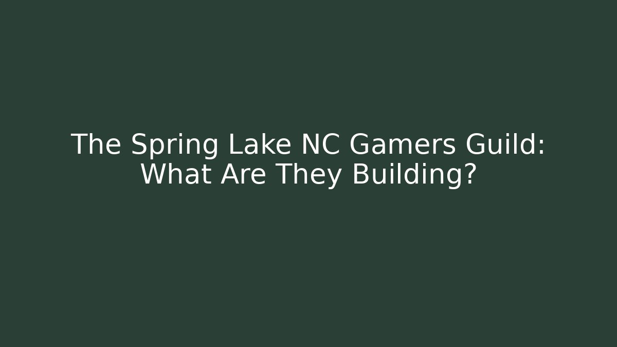 The Spring Lake NC Gamers Guild: What Are They Building?