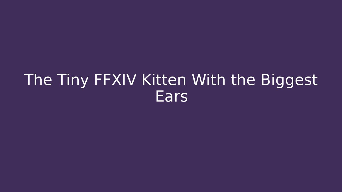 The Tiny FFXIV Kitten With the Biggest Ears