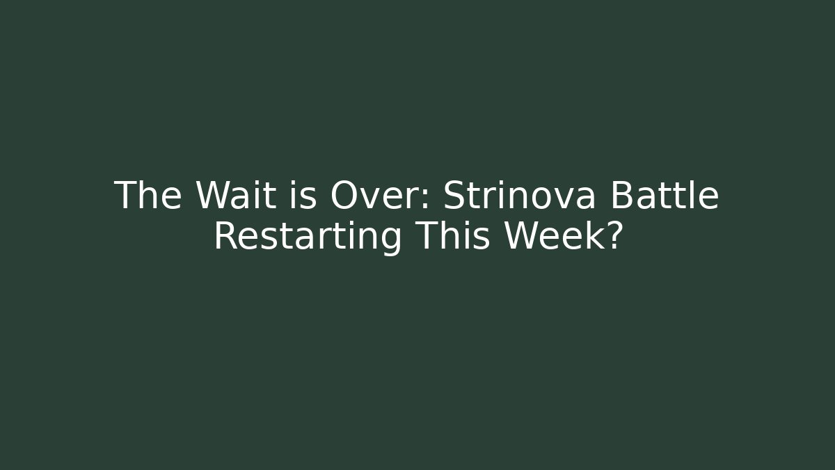 The Wait is Over: Strinova Battle Restarting This Week?