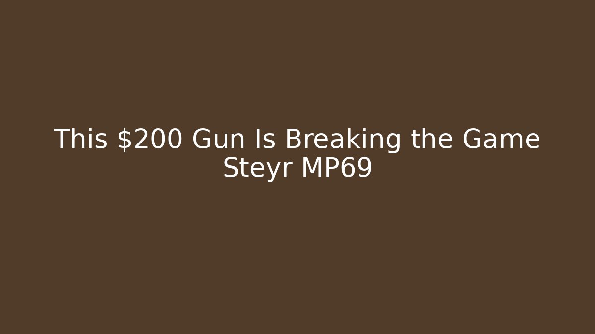 This $200 Gun Is Breaking the Game Steyr MP69
