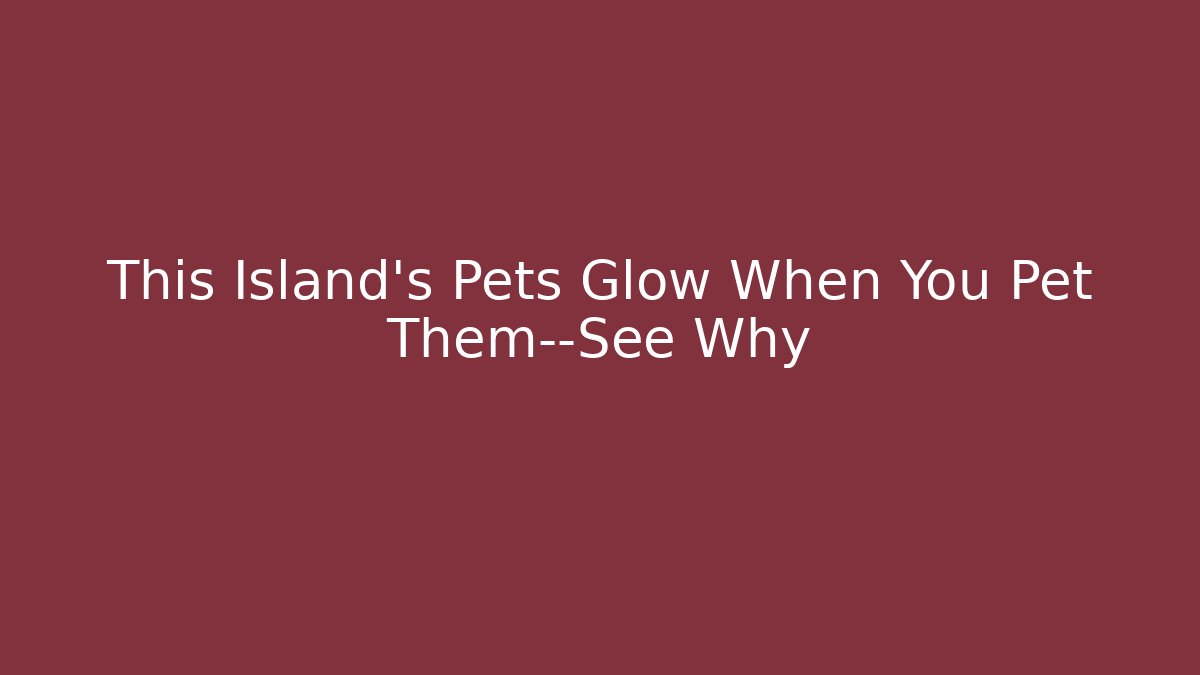 This Island's Pets Glow When You Pet Them—See Why