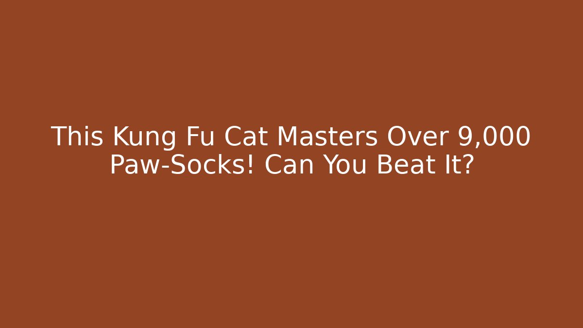 This Kung Fu Cat Masters Over 9,000 Paw-Socks! Can You Beat It?