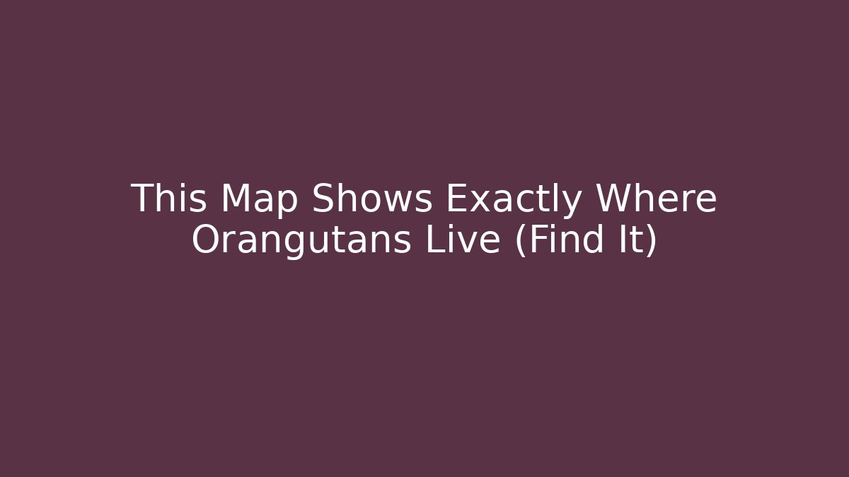 This Map Shows Exactly Where Orangutans Live (Find It) - The Family Holidays