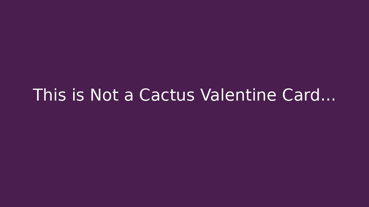 This is Not a Cactus Valentine Card… - The Family Holidays
