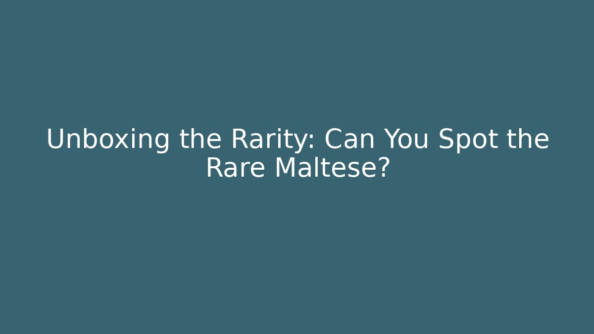 Unboxing the Rarity: Can You Spot the Rare Maltese?