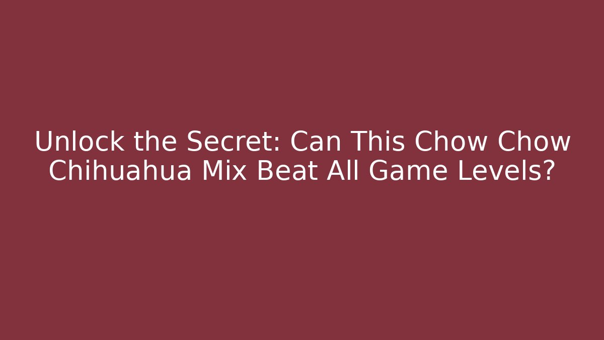 Unlock the Secret: Can This Chow Chow Chihuahua Mix Beat All Game Levels?