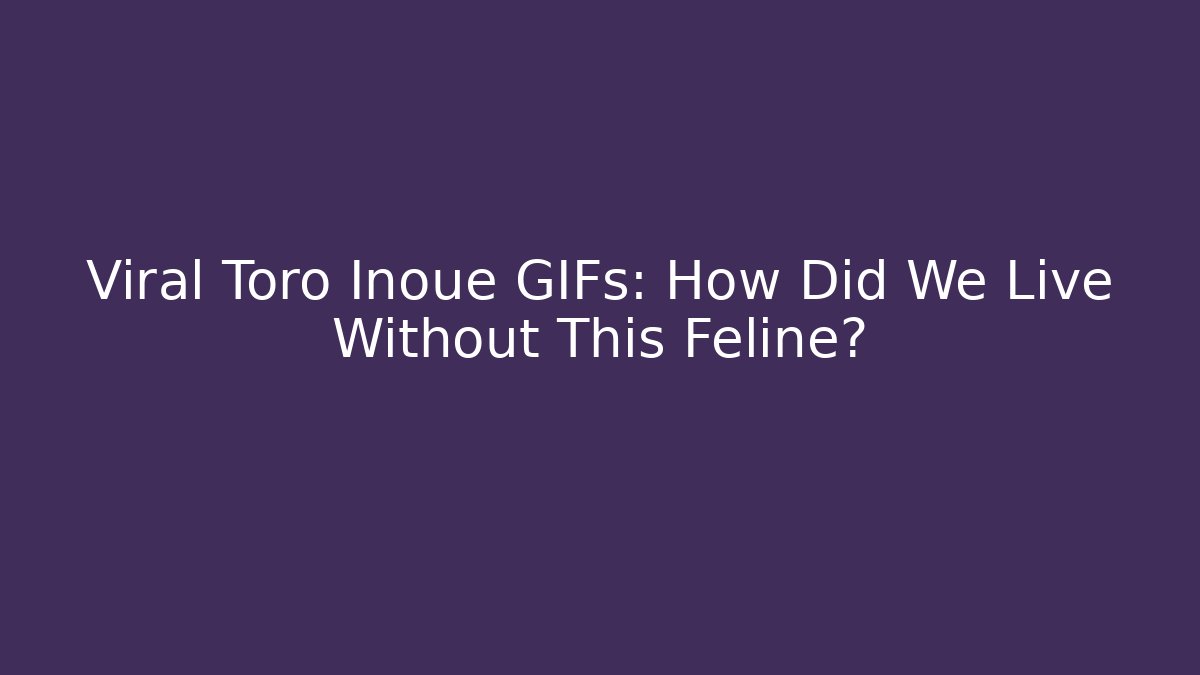 Viral Toro Inoue GIFs: How Did We Live Without This Feline?