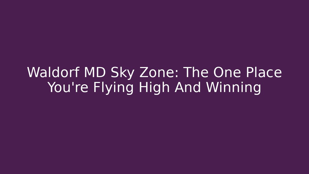 Waldorf MD Sky Zone: The One Place You're Flying High And Winning
