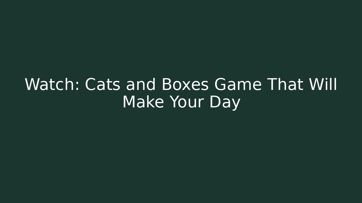 Watch: Cats and Boxes Game That Will Make Your Day