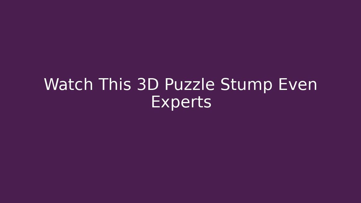 Watch This 3D Puzzle Stump Even Experts