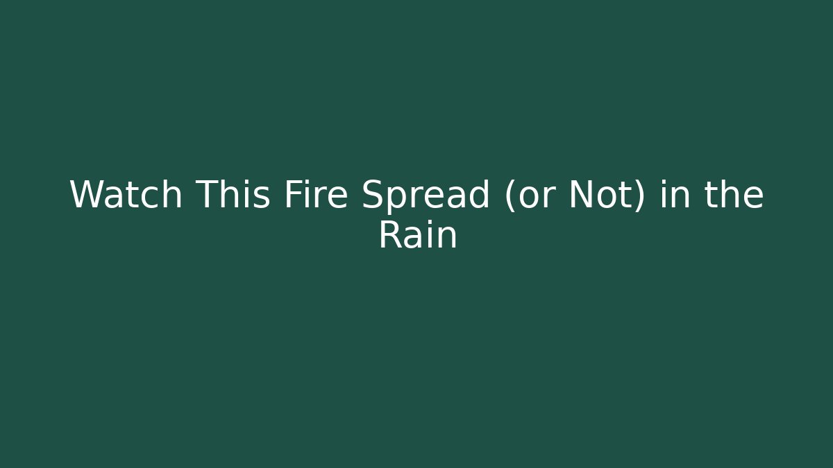 Watch This Fire Spread (or Not) in the Rain