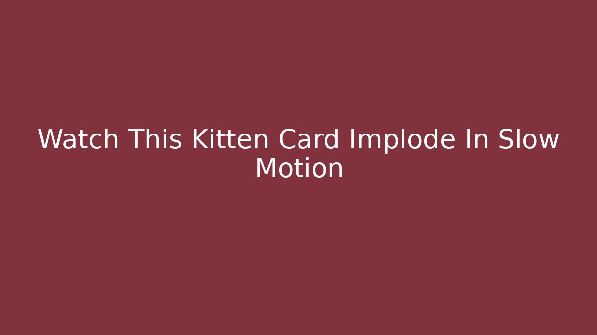 Watch This Kitten Card Implode In Slow Motion