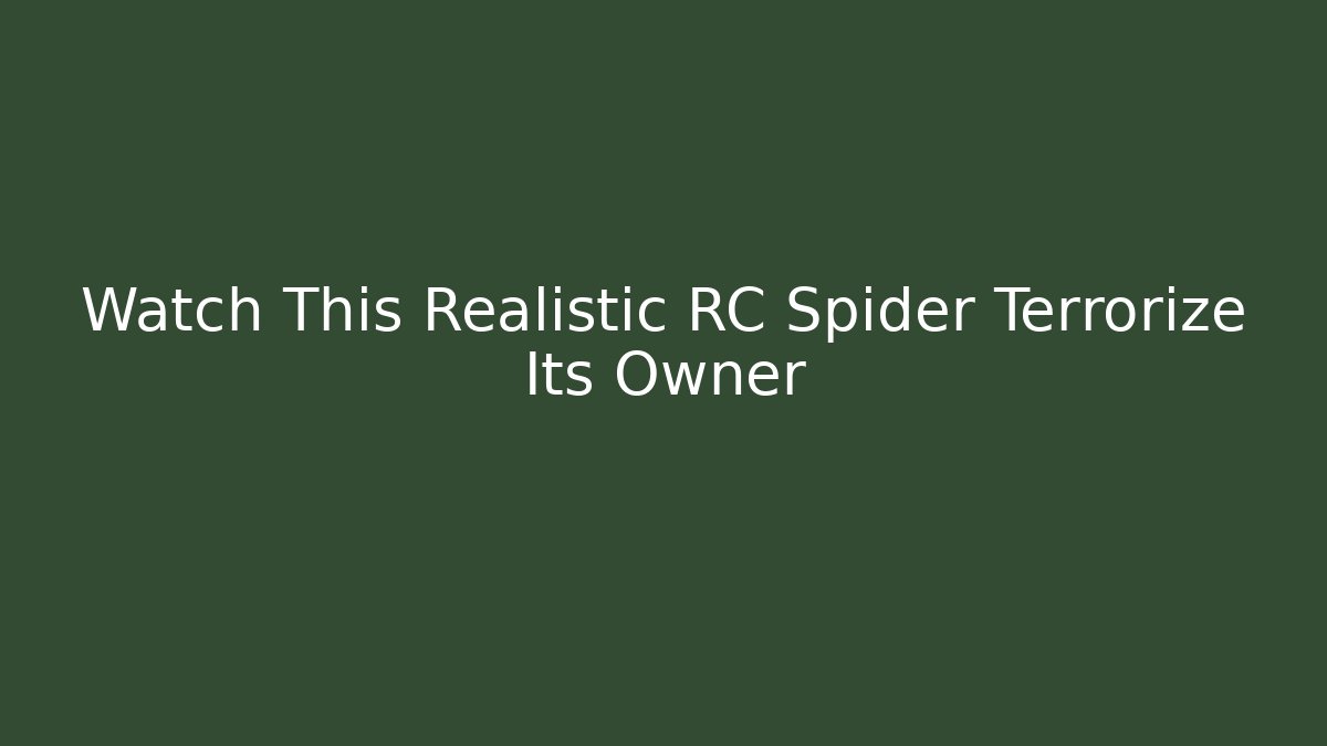 Watch This Realistic RC Spider Terrorize Its Owner