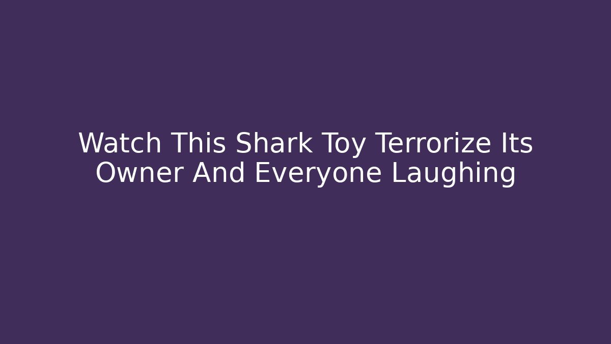 Watch This Shark Toy Terrorize Its Owner And Everyone Laughing