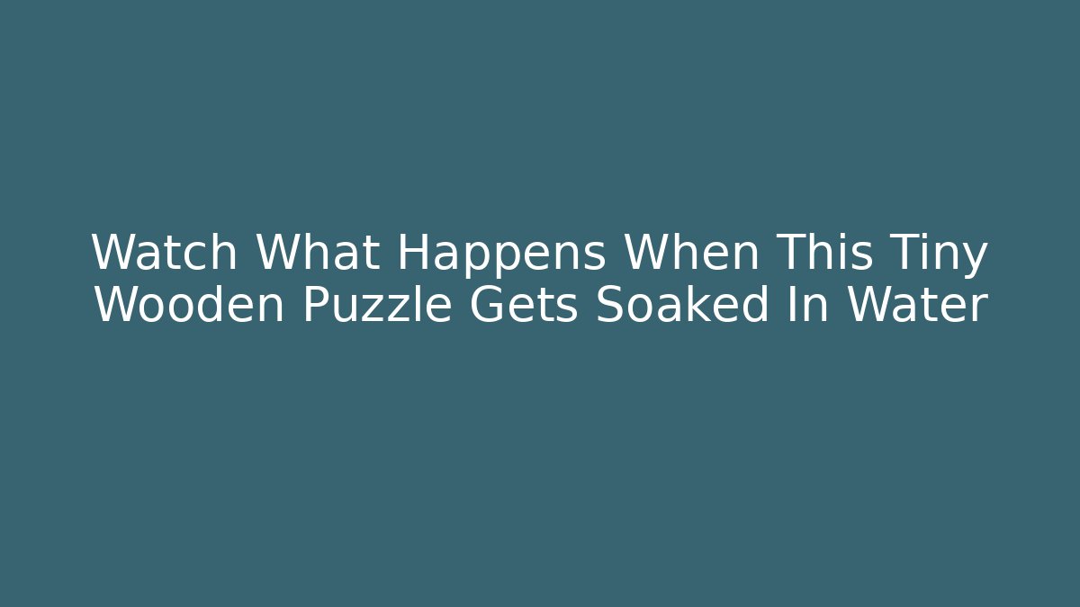 Watch What Happens When This Tiny Wooden Puzzle Gets Soaked In Water