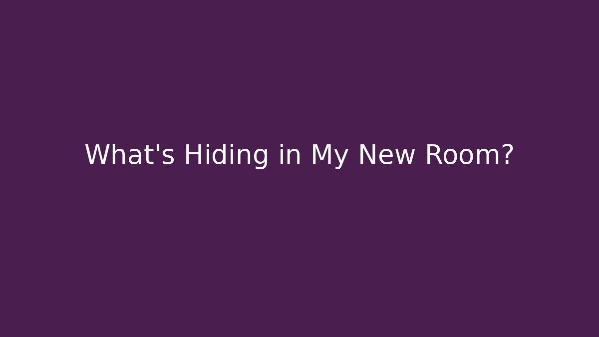What's Hiding in My New Room?