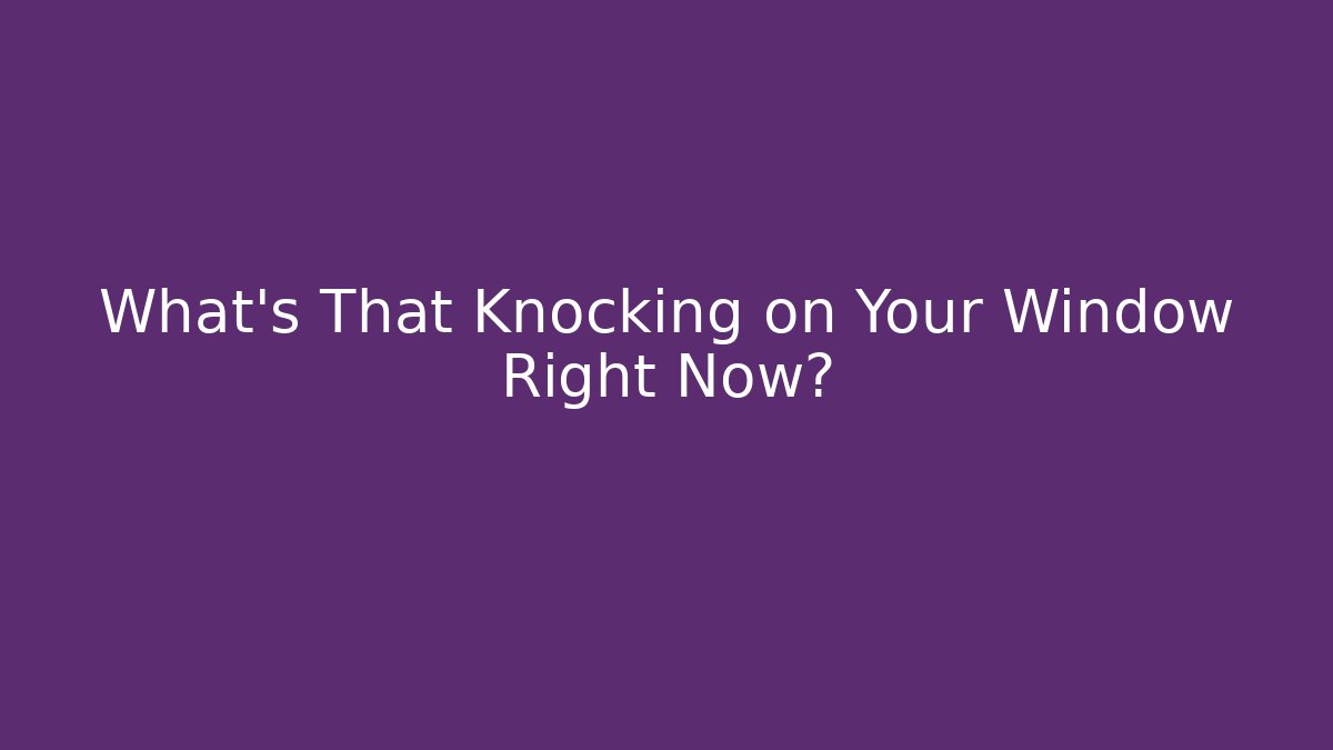 What's That Knocking on Your Window Right Now?