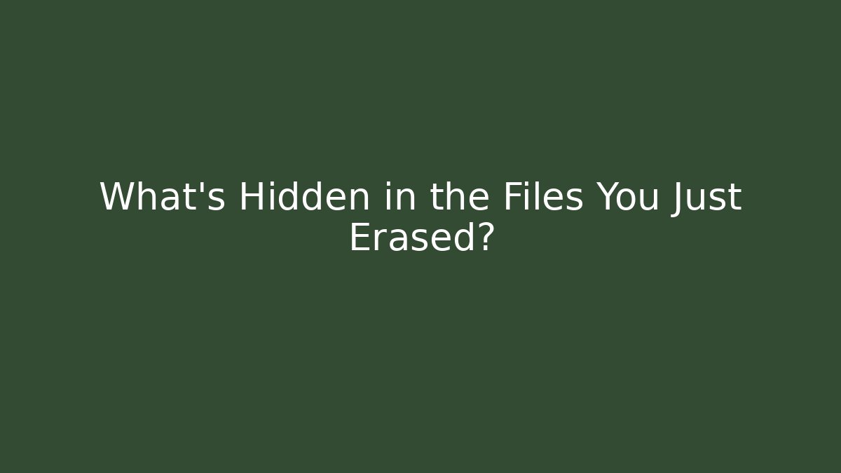 What’s Hidden in the Files You Just Erased?