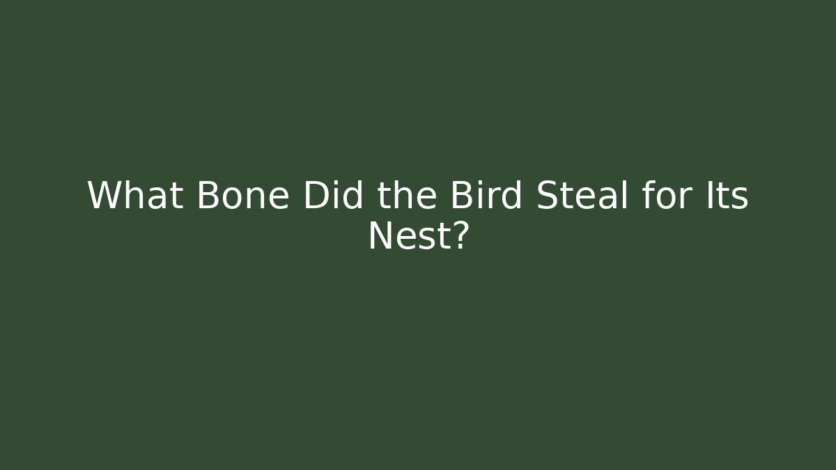 What Bone Did the Bird Steal for Its Nest?
