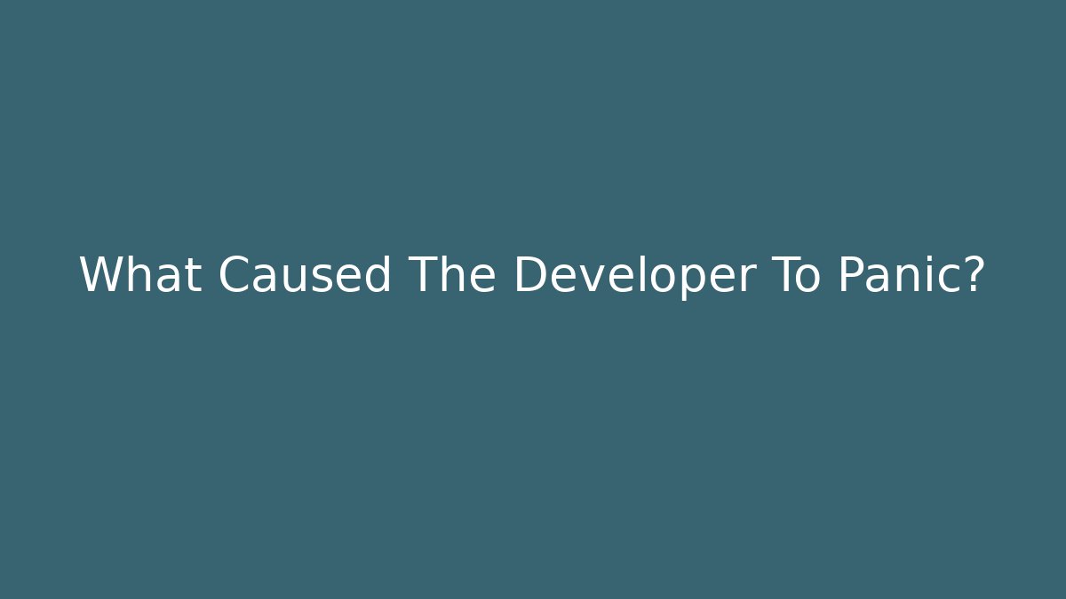 What Caused The Developer To Panic?