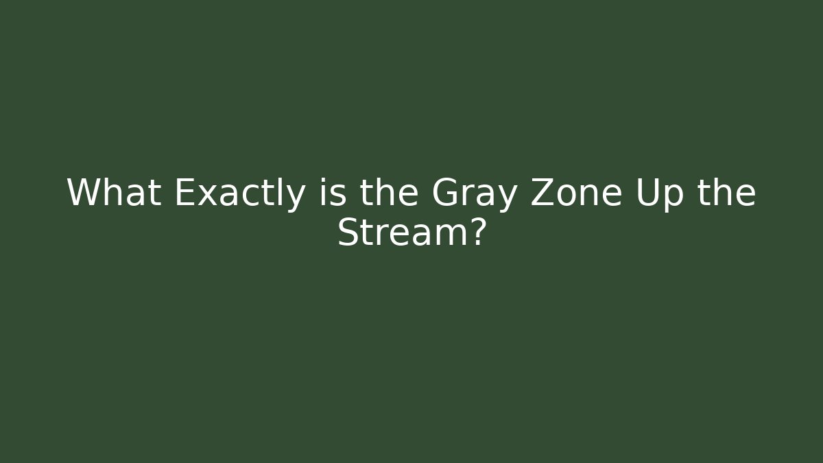 What Exactly is the Gray Zone Up the Stream?
