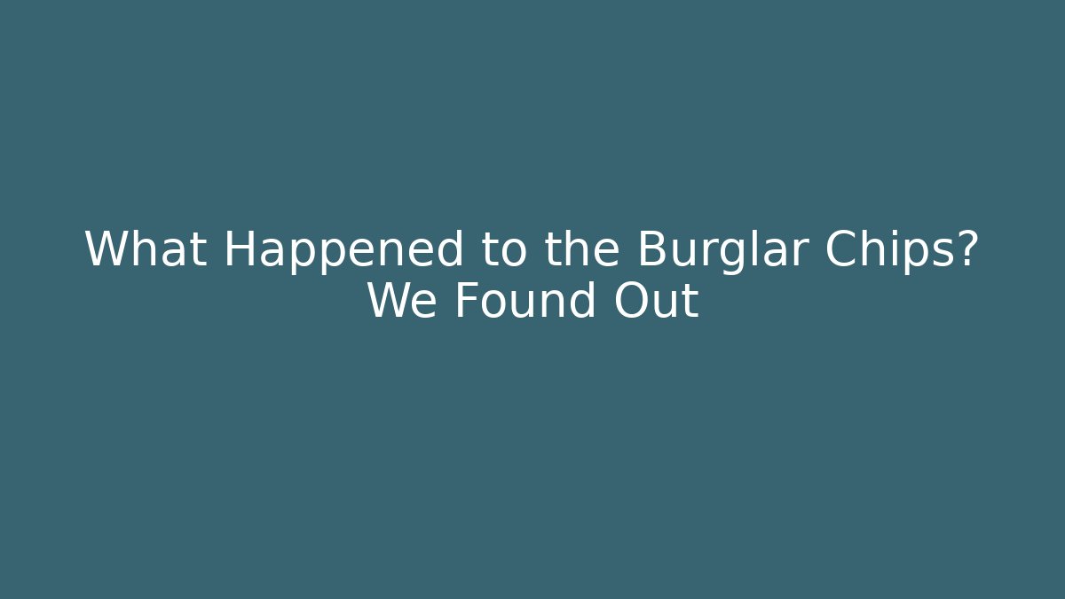 What Happened to the Burglar Chips? We Found Out