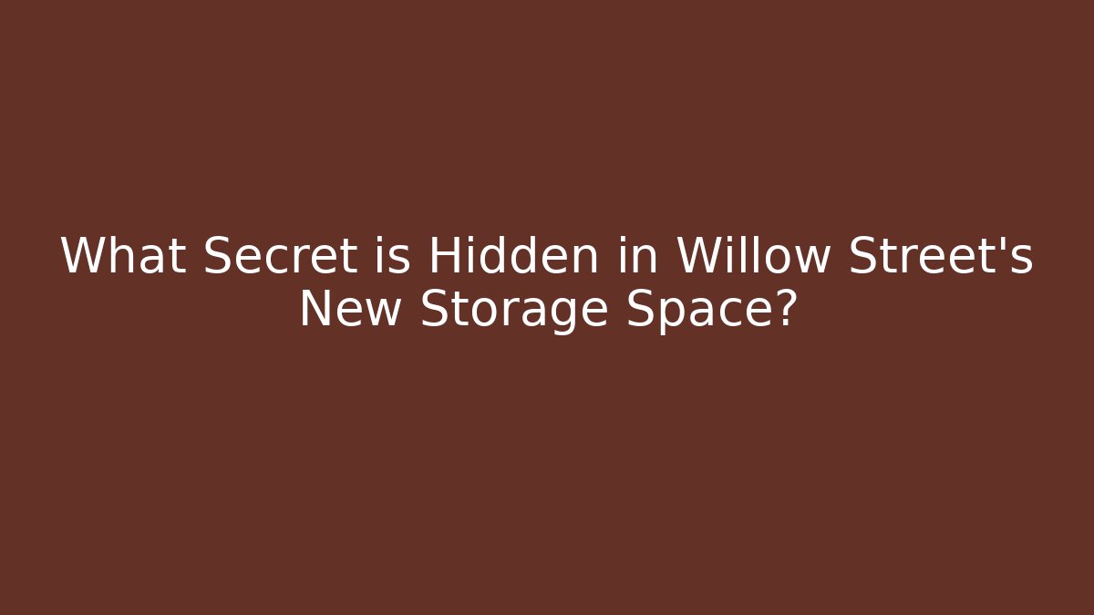 What Secret is Hidden in Willow Street's New Storage Space? - The Family Holidays