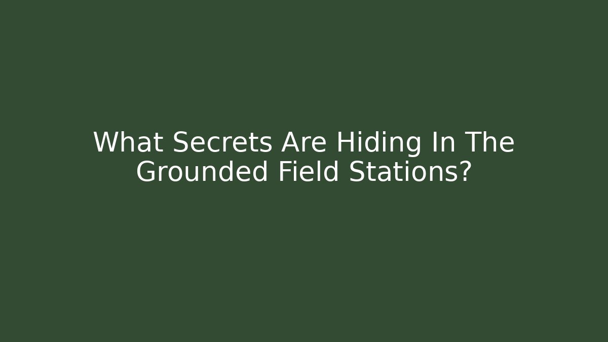 What Secrets Are Hiding In The Grounded Field Stations?