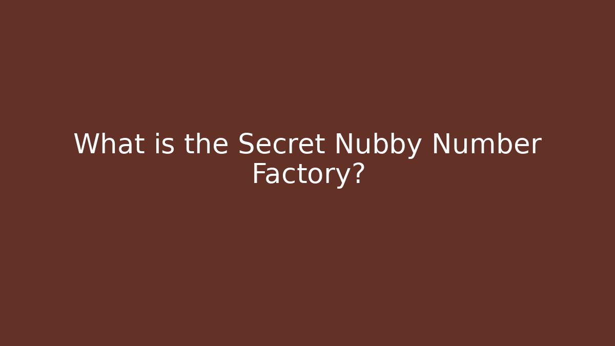 What is the Secret Nubby Number Factory?