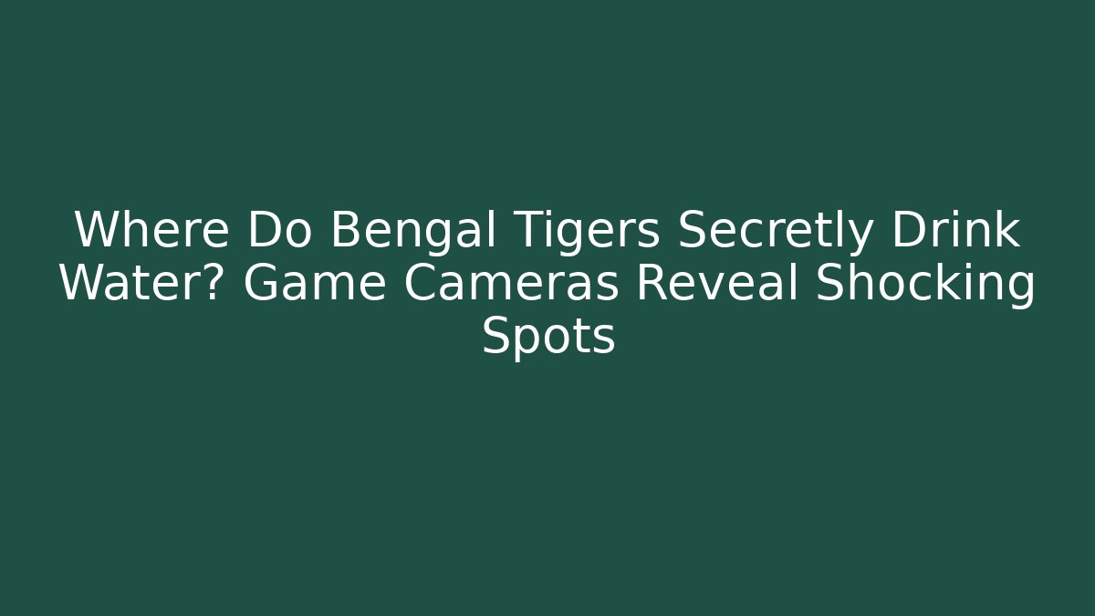 Where Do Bengal Tigers Secretly Drink Water? Game Cameras Reveal Shocking Spots