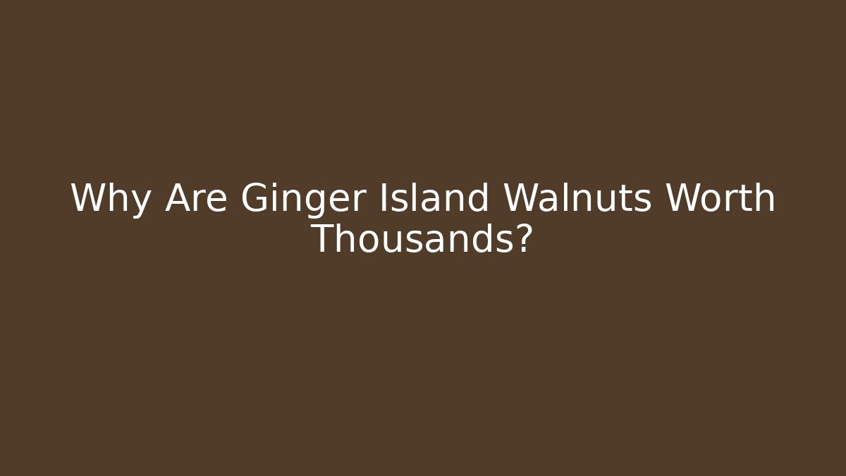 Why Are Ginger Island Walnuts Worth Thousands?