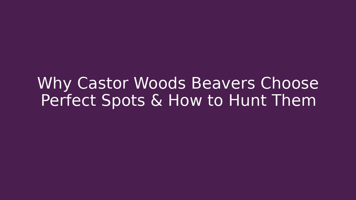 Why Castor Woods Beavers Choose Perfect Spots & How to Hunt Them