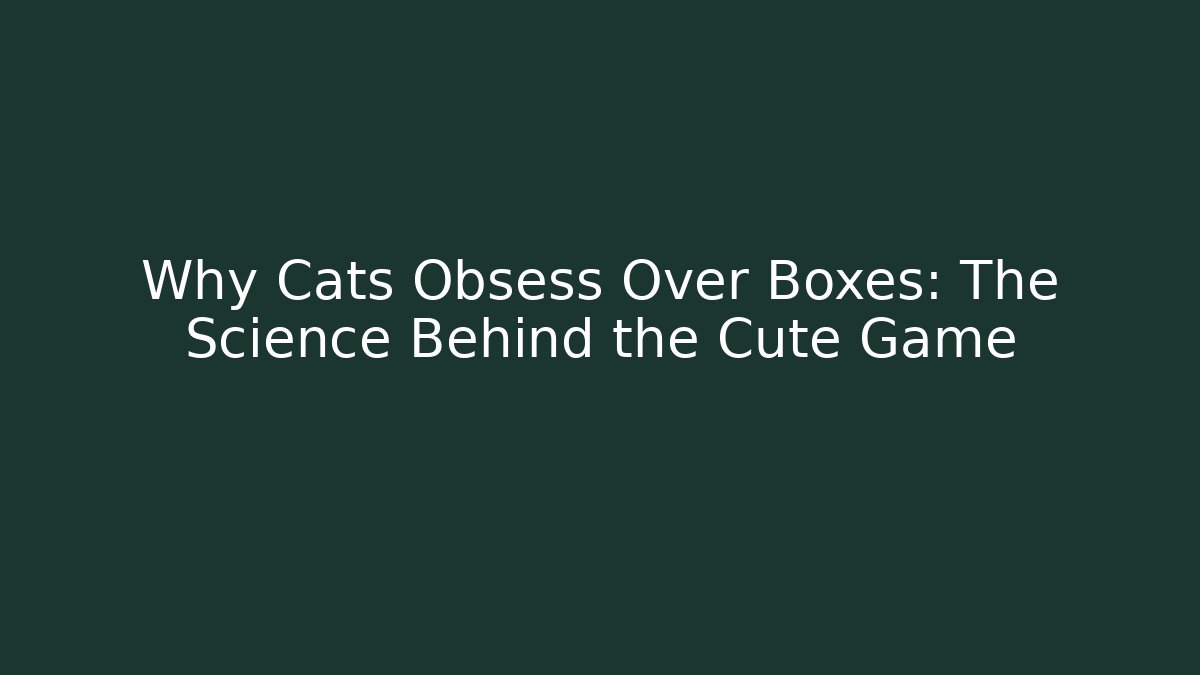 Why Cats Obsess Over Boxes: The Science Behind the Cute Game