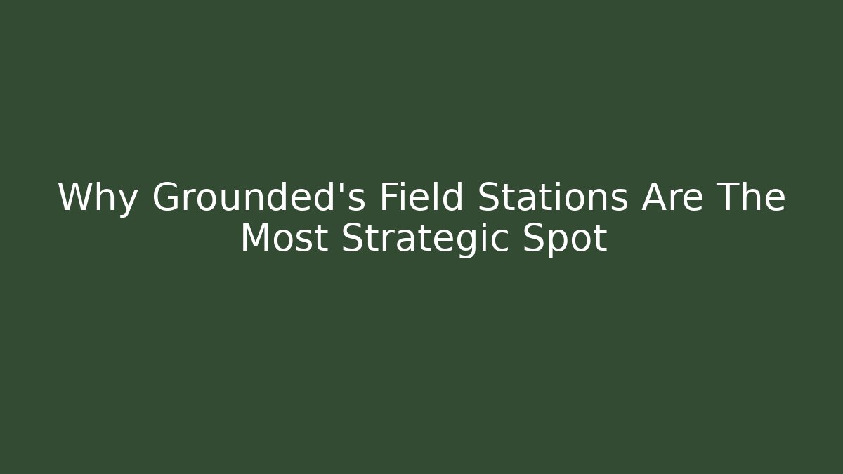 Why Grounded's Field Stations Are The Most Strategic Spot