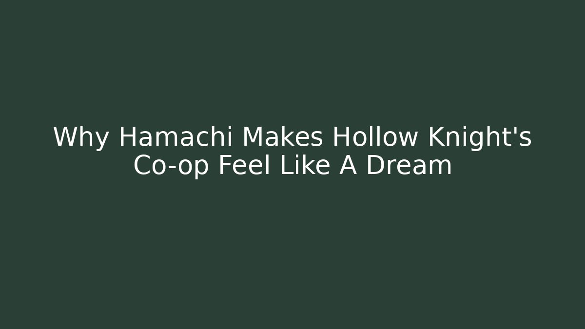 Why Hamachi Makes Hollow Knight’s Co-op Feel Like A Dream