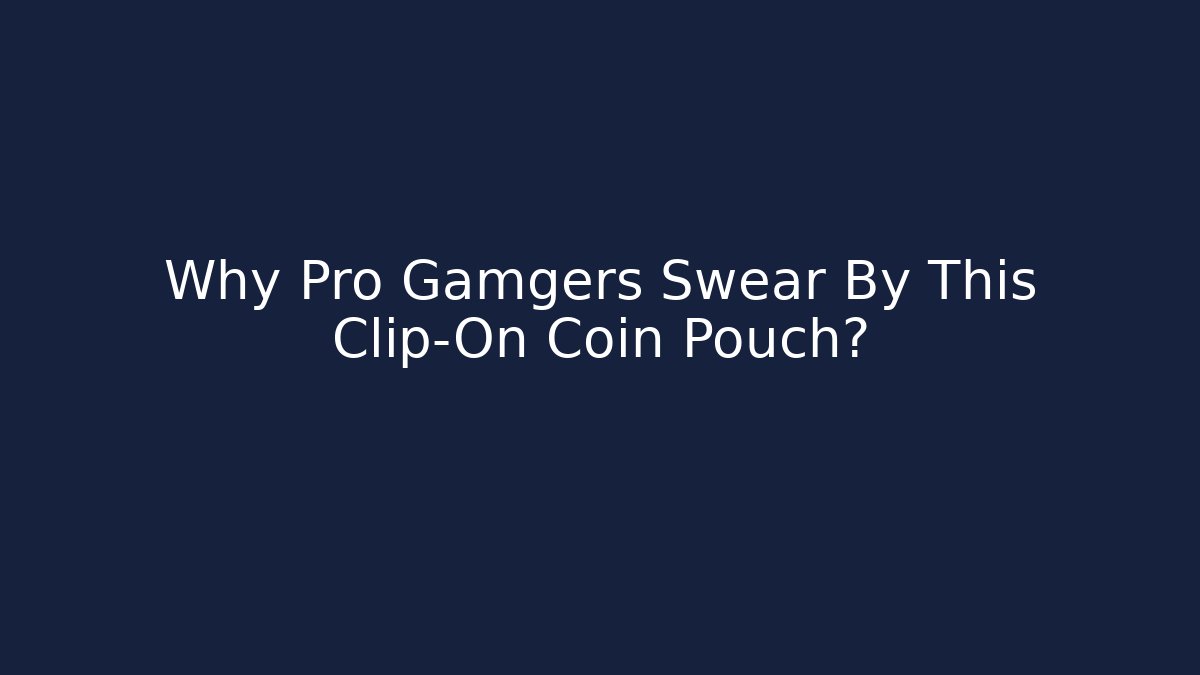 Why Pro Gamgers Swear By This Clip-On Coin Pouch?