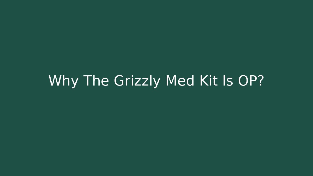 Why The Grizzly Med Kit Is OP? - The Family Holidays