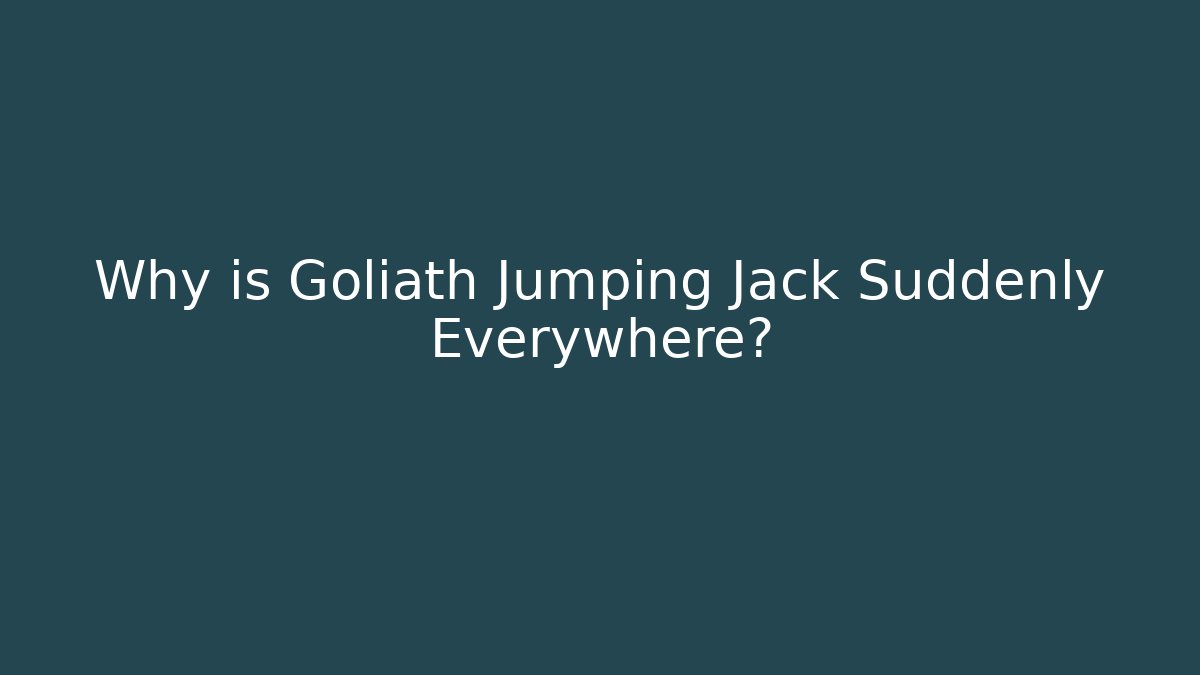 Why is Goliath Jumping Jack Suddenly Everywhere?