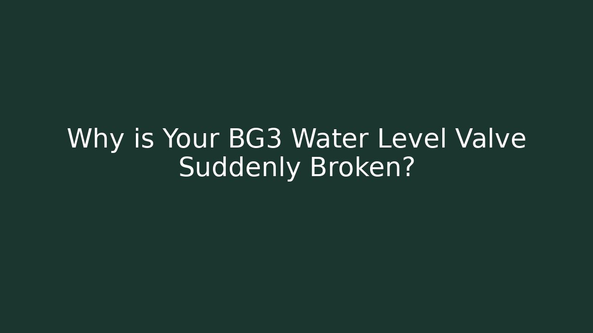 Why is Your BG3 Water Level Valve Suddenly Broken?