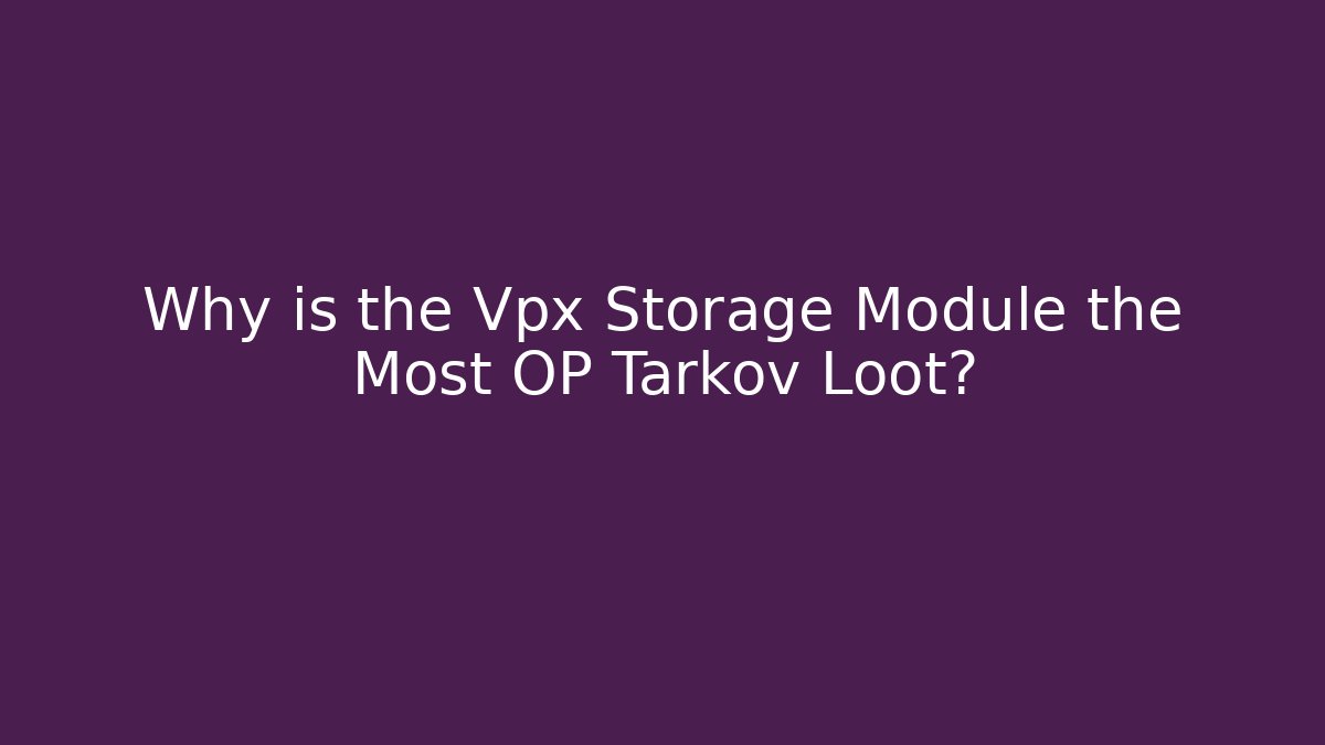 Why is the Vpx Storage Module the Most OP Tarkov Loot? - The Family Holidays