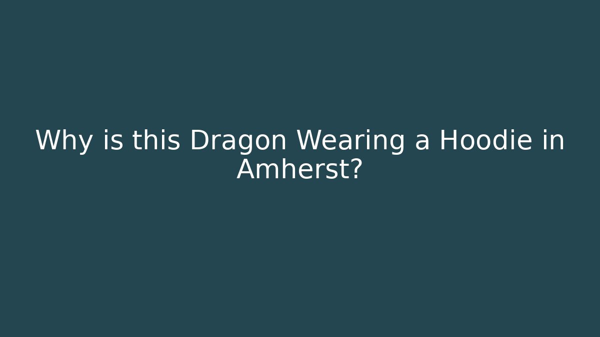Why is this Dragon Wearing a Hoodie in Amherst?