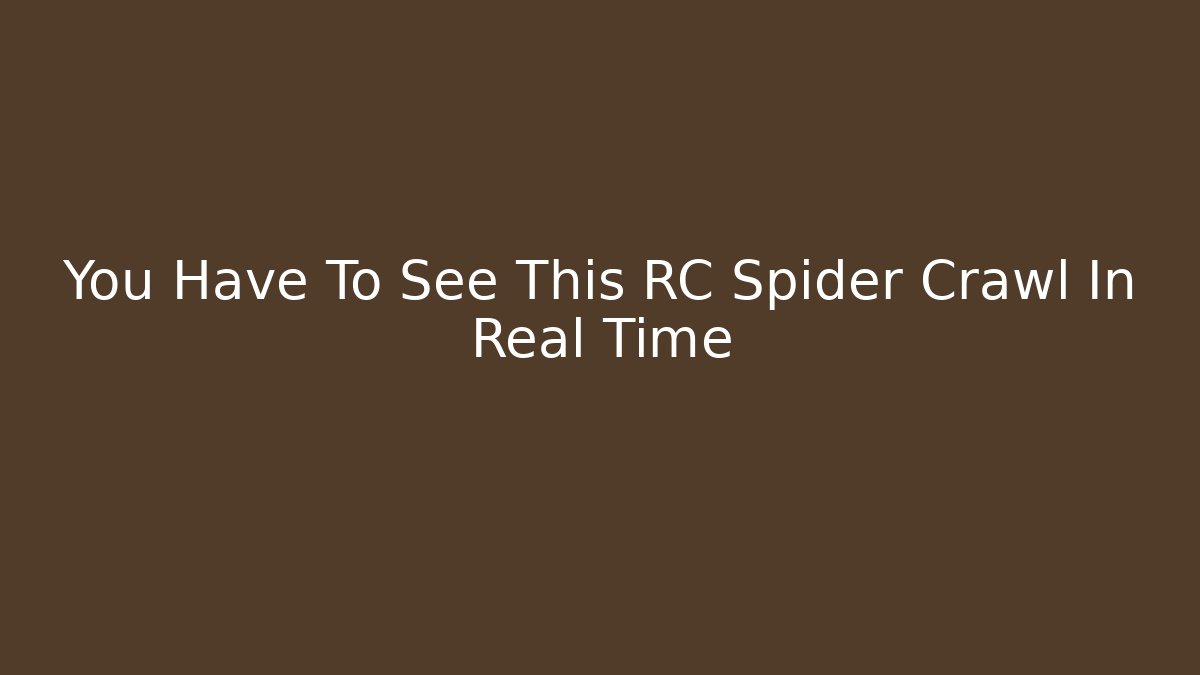 You Have To See This RC Spider Crawl In Real Time