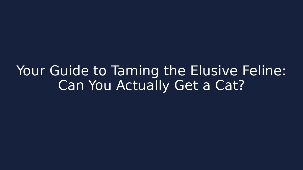 Your Guide to Taming the Elusive Feline: Can You Actually Get a Cat?